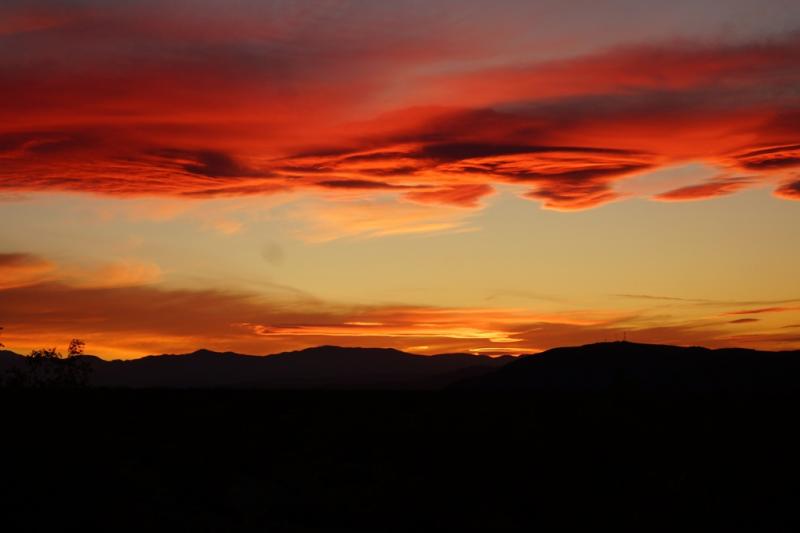 Desert Sunset